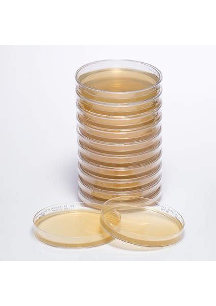 Hazır Chromogenic Uti Besiyeri - 1 Paket (10 Adet)