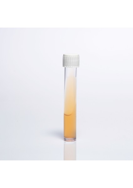 Hazır Urea Tüp Besiyeri - 1 Paket (10 Adet)