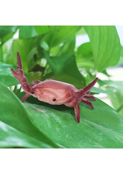 2 Adet Yeni Yaratıcı Sevimli Yengeç Kalemlik Ağırlık Kaldırma Kalemlik Turuncu (Yurt Dışından) fiyatları