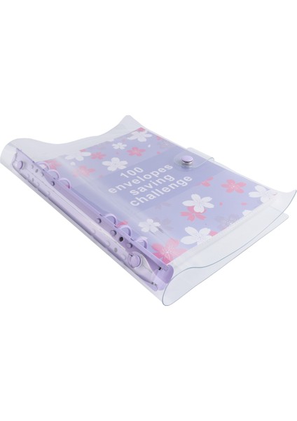 100 Zarf Mücadelesi Klasörü 5.050 Tasarruf Edin - Bütçe Klasörü, (Yurt Dışından) fiyatları