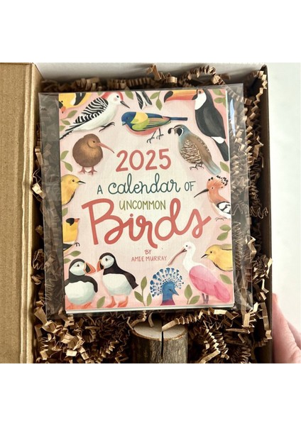 2025 Sıra Dışı Kuşların Takvimi Kuş Gözlemcisi Aylık Duvar Takvimi (Yurt Dışından) fiyatları