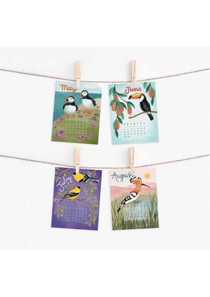 2025 Sıra Dışı Kuşların Takvimi Kuş Gözlemcisi Aylık Duvar Takvimi (Yurt Dışından) fırsatları