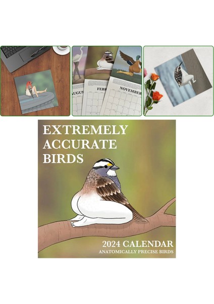 2024 Son Derece Doğru Kuş Takvimi 2024 Kuş TAKVIMI-21X21CM (Yurt Dışından)