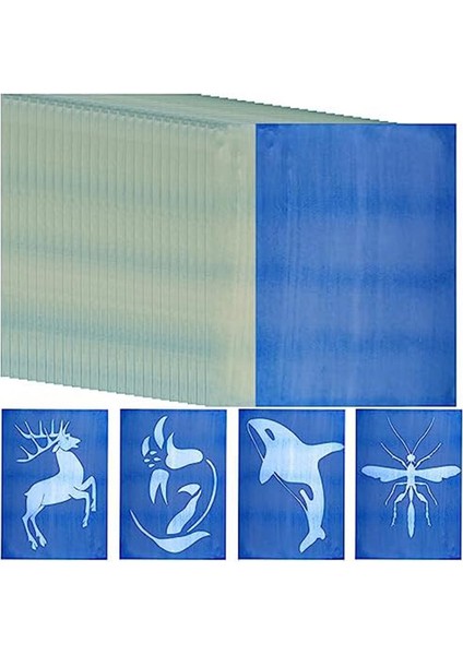 30 Yaprak Sun Baskı Kağıdı Kitleri Siyanotip Kağıdı Kiti A4 Doğa Baskısı (Yurt Dışından)