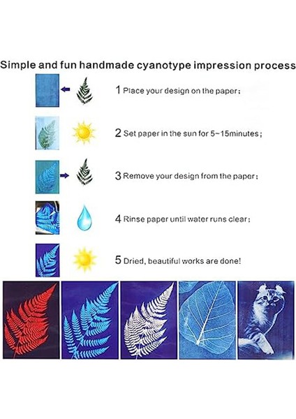 30 Yaprak Sun Baskı Kağıdı Kitleri Siyanotip Kağıdı Kiti A4 Doğa Baskısı (Yurt Dışından) modelleri
