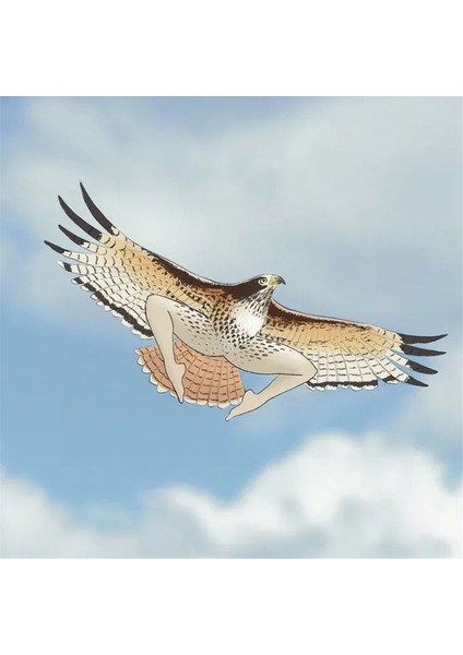 2024 Son Derece Doğru Kuş Takvimi 2024 Kuş TAKVIMI-21X21CM (Yurt Dışından) indirimleri