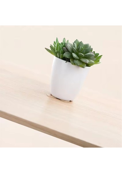 Çift Taraflı Yapıştırıcı Yuvarlak Yapıştırıcılı (Yurt Dışından) indirimleri