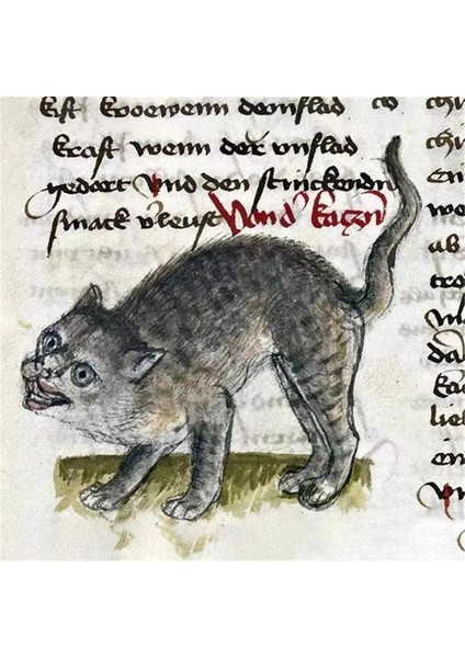 Garip Ortaçağ Kedileri Takvimi,komik Garip Ortaçağ Kedileri Takvimi 2024 A (Yurt Dışından) fırsatları