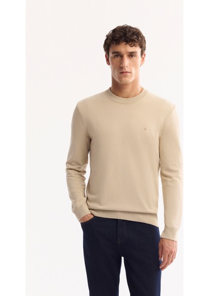 Erkek Taş Bisiklet Yaka Viskon Viskon Karışımlı Basic Triko Regular Fit Kazak B005021