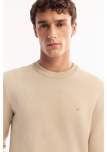 Erkek Taş Bisiklet Yaka Viskon Viskon Karışımlı Basic Triko Regular Fit Kazak B005021 fiyatları