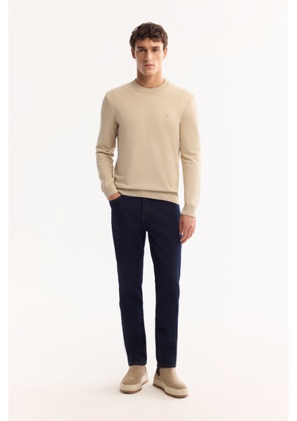 Erkek Taş Bisiklet Yaka Viskon Viskon Karışımlı Basic Triko Regular Fit Kazak B005021