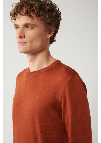 Erkek Kiremit Bisiklet Yaka Tüylenmeyen Triko Regular Fit Kazak E005000 fiyatları