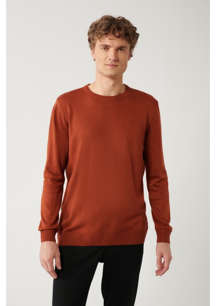 Erkek Kiremit Bisiklet Yaka Tüylenmeyen Triko Regular Fit Kazak E005000 modelleri