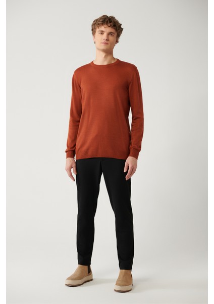 Erkek Kiremit Bisiklet Yaka Tüylenmeyen Triko Regular Fit Kazak E005000 indirimleri