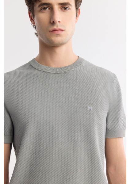 Erkek Gri Bisiklet Yaka Viskon Karışımlı Triko Regular Fit T-Shirt B005119 fiyatları