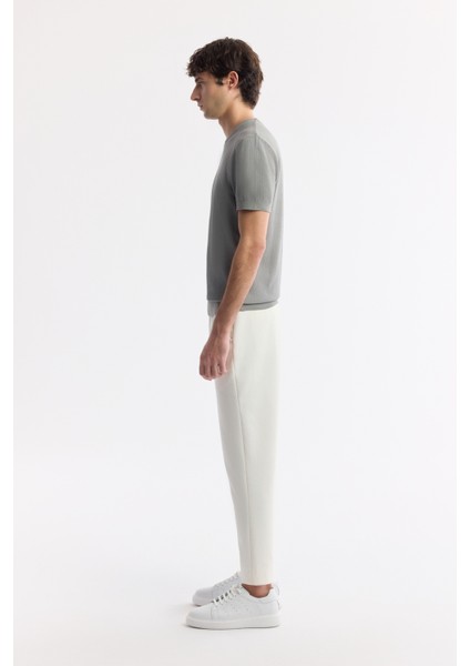 Erkek Gri Bisiklet Yaka Viskon Karışımlı Triko Regular Fit T-Shirt B005119 modelleri