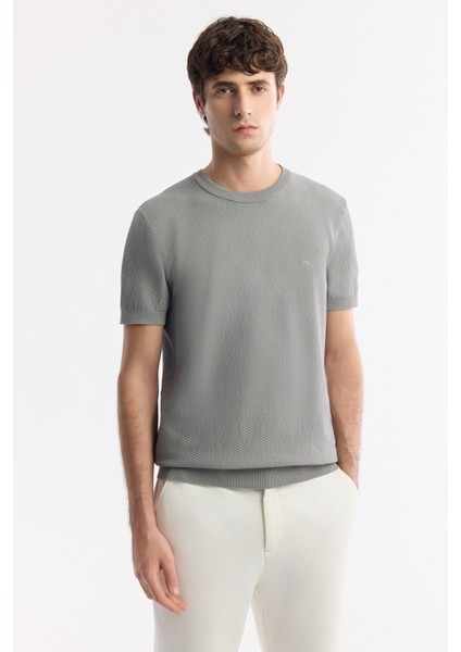 Erkek Gri Bisiklet Yaka Viskon Karışımlı Triko Regular Fit T-Shirt B005119