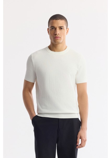 Erkek Ekru Bisiklet Yaka Viskon Karışımlı Triko Regular Fit T-Shirt B005119