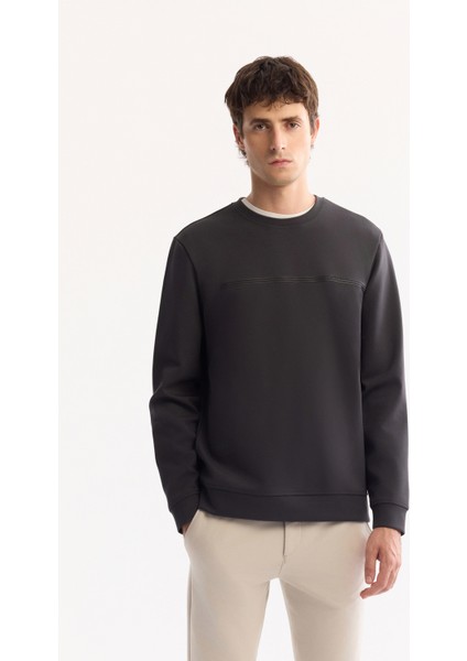Erkek Antrasit Bisiklet Yaka Pamuklu Bi-Stretch Baskılı Regular Fit Sweatshirt A52Y1325