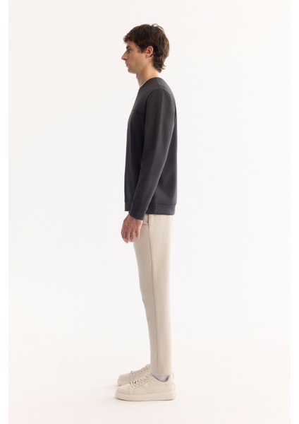 Erkek Antrasit Bisiklet Yaka Pamuklu Bi-Stretch Baskılı Regular Fit Sweatshirt A52Y1325 modelleri