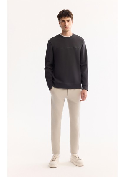 Erkek Antrasit Bisiklet Yaka Pamuklu Bi-Stretch Baskılı Regular Fit Sweatshirt A52Y1325