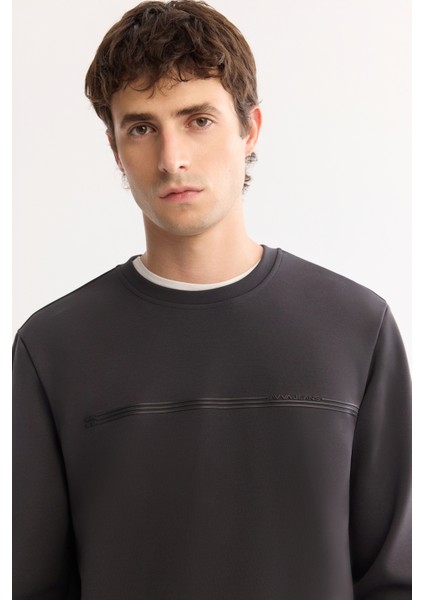 Erkek Antrasit Bisiklet Yaka Pamuklu Bi-Stretch Baskılı Regular Fit Sweatshirt A52Y1325