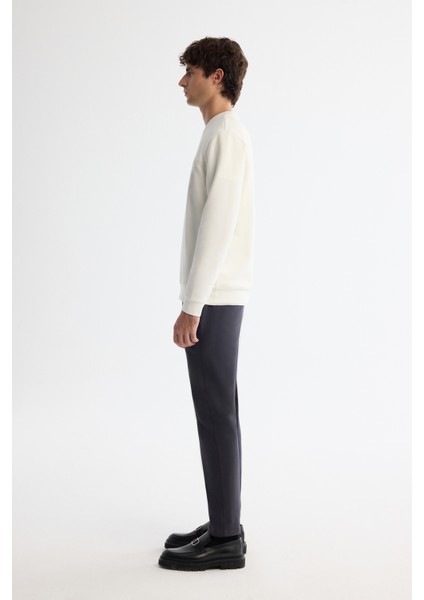 Erkek Ekru Bisiklet Yaka Pamuklu Baskılı Elastan Regular Fit Sweatshirt A42Y1267 modelleri