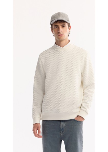 Erkek Ekru Bisiklet Yaka Dokulu Elastan Regular Fit Sweatshirt A52Y1216