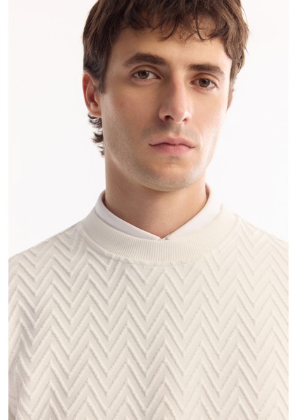 Erkek Ekru Bisiklet Yaka Dokulu Elastan Regular Fit Sweatshirt A52Y1216 modelleri