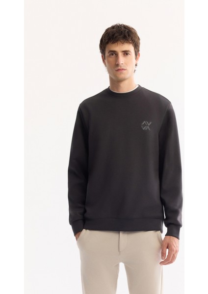 Erkek Antrasit Bisiklet Yaka Pamuklu Bi-Stretch Basic Regular Fit Sweatshirt A52Y1328