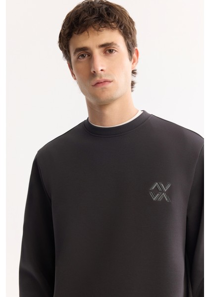 Erkek Antrasit Bisiklet Yaka Pamuklu Bi-Stretch Basic Regular Fit Sweatshirt A52Y1328 fiyatları