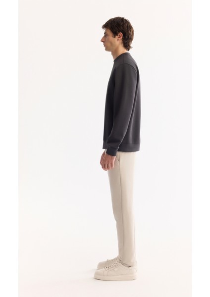 Erkek Antrasit Bisiklet Yaka Pamuklu Bi-Stretch Basic Regular Fit Sweatshirt A52Y1328 modelleri