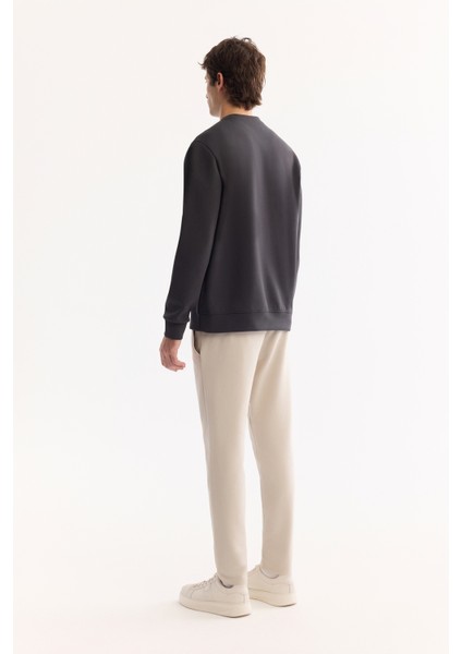 Erkek Antrasit Bisiklet Yaka Pamuklu Bi-Stretch Basic Regular Fit Sweatshirt A52Y1328 fırsatları