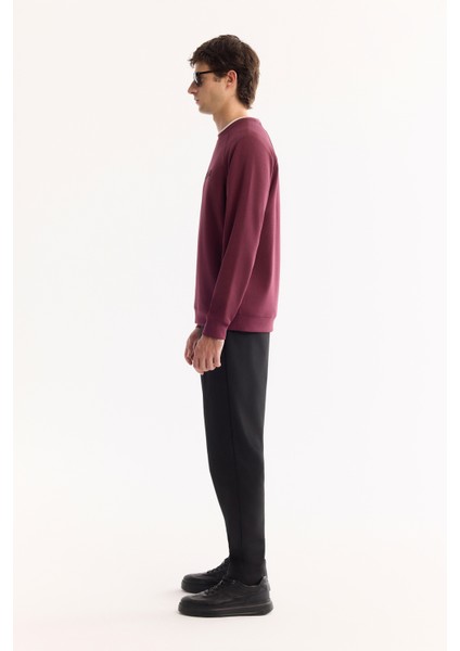 Erkek Mürdüm Bisiklet Yaka Pamuklu Bi-Stretch Baskılı Regular Fit Sweatshirt A52Y1249 modelleri