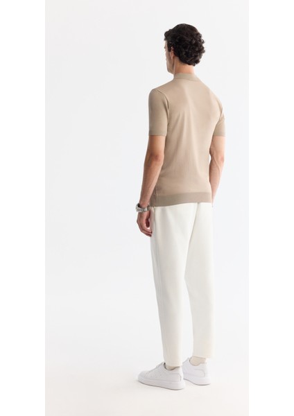 Erkek Vizon Polo Yaka Fermuarlı Rayon Triko Regular Fit T-Shirt A42Y5128 indirimleri