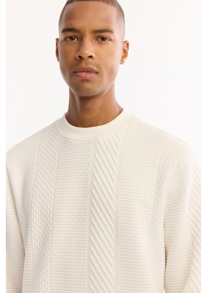 Erkek Ekru Bisiklet Yaka Dokulu Elastan Regular Fit Sweatshirt A52Y1220 fiyatları