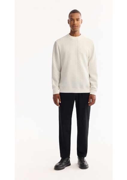 Erkek Ekru Bisiklet Yaka Dokulu Elastan Regular Fit Sweatshirt A52Y1220