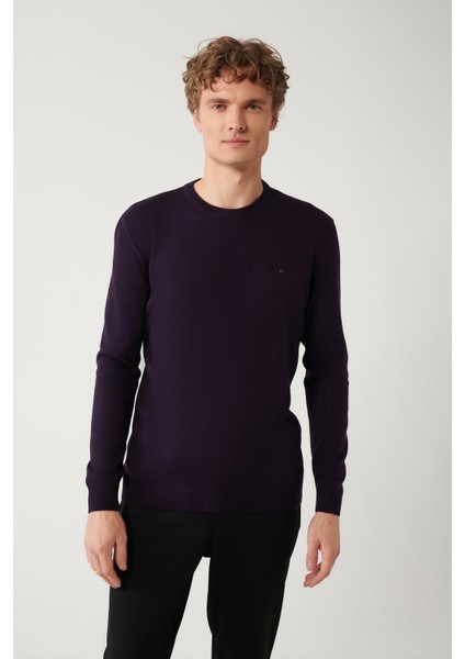 Erkek Mürdüm Bisiklet Yaka Tüylenmeyen Triko Regular Fit Kazak E005000