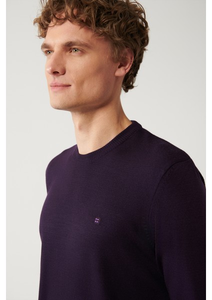 Erkek Mürdüm Bisiklet Yaka Tüylenmeyen Triko Regular Fit Kazak E005000 fiyatları