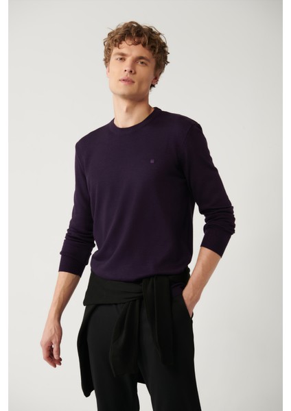 Erkek Mürdüm Bisiklet Yaka Tüylenmeyen Triko Regular Fit Kazak E005000 modelleri