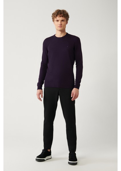 Erkek Mürdüm Bisiklet Yaka Tüylenmeyen Triko Regular Fit Kazak E005000 indirimleri