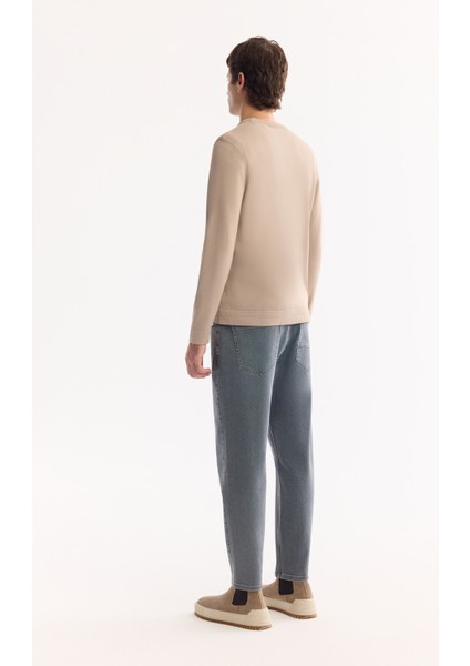 Erkek Vizon Bisiklet Yaka Rayon Karışımlı Tüylenmeyen Triko Regular Fit Kazak A52Y5001 fırsatları