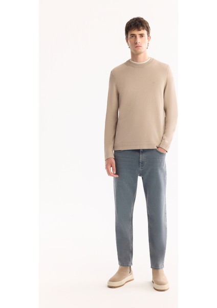 Erkek Vizon Bisiklet Yaka Rayon Karışımlı Tüylenmeyen Triko Regular Fit Kazak A52Y5001