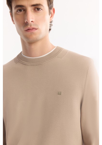 Erkek Vizon Bisiklet Yaka Rayon Karışımlı Tüylenmeyen Triko Regular Fit Kazak A52Y5001