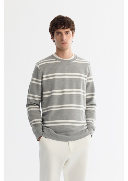 Erkek Gri Bisiklet Yaka Çizgili Elastan Regular Fit Sweatshirt A42Y1292