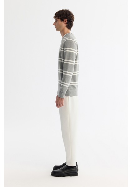 Erkek Gri Bisiklet Yaka Çizgili Elastan Regular Fit Sweatshirt A42Y1292 modelleri