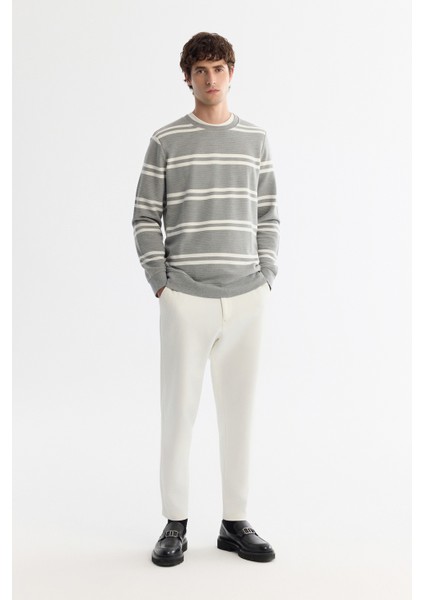 Erkek Gri Bisiklet Yaka Çizgili Elastan Regular Fit Sweatshirt A42Y1292 indirimleri