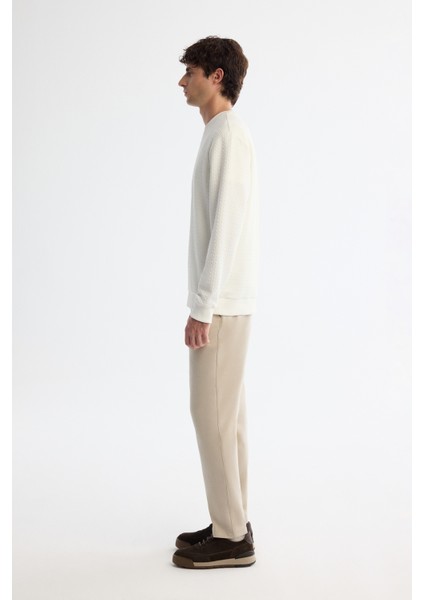 Erkek Ekru Bisiklet Yaka Baskılı İnterlok Regular Fit Sweatshirt A42Y1296 modelleri