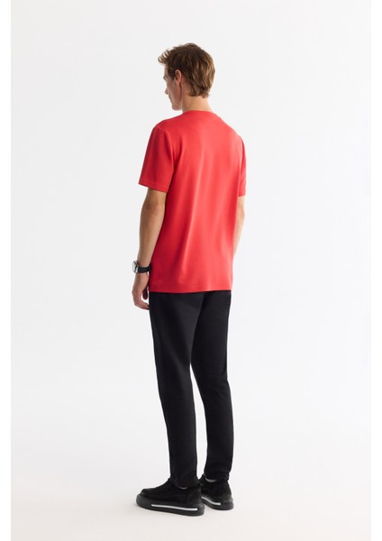 Erkek Kırmızı Bisiklet Yaka Elastan İnterlok Regular Fit T-Shirt A42Y1003 indirimleri