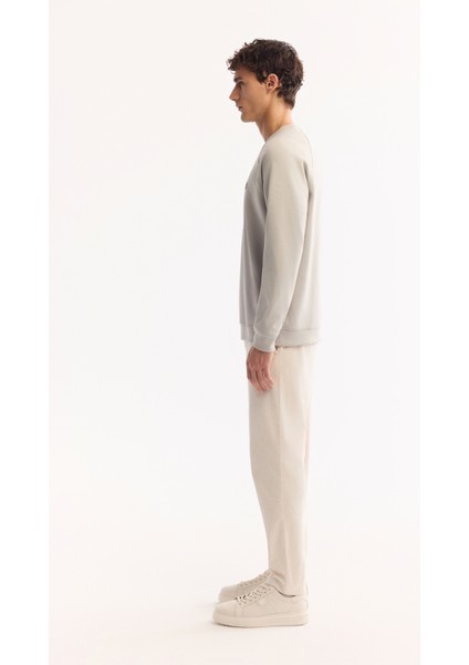 Erkek Gri Bisiklet Yaka Pamuklu Bi-Stretch Baskılı Regular Fit Sweatshirt A52Y1249 modelleri